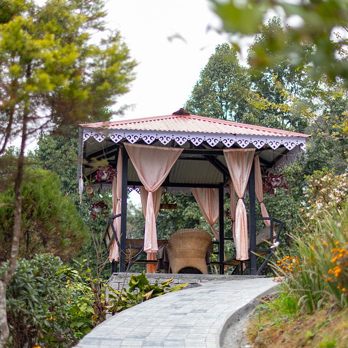 Workation in the Hills